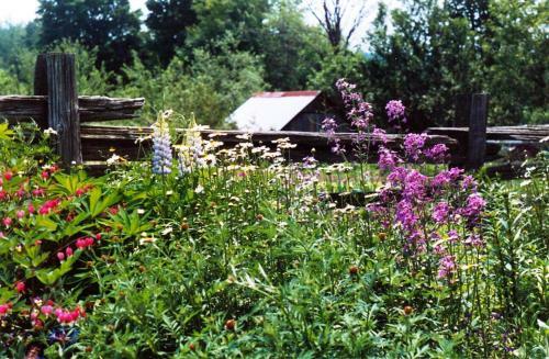 Au Domaine G�te Vall�e Des Roseaux B&B