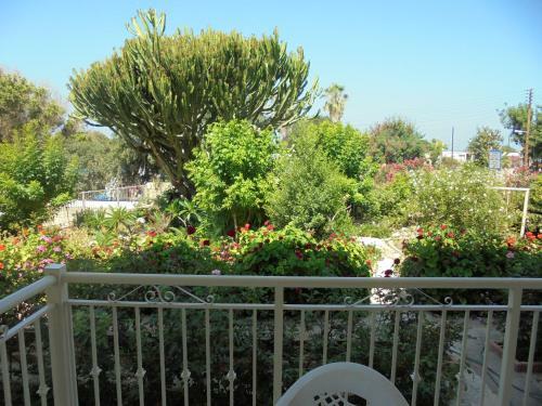 Niki Court Holiday Apartments