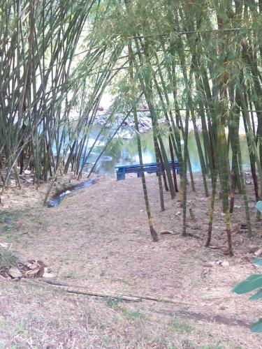 Finca Hotel El Turin