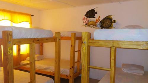 Albergue Taganga Paradise Hostal & Diving