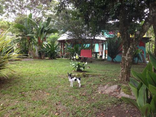 Hostal Hostel Casa Chirripo