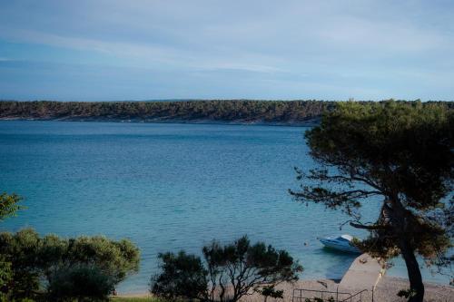 Hotel Villa Barbat