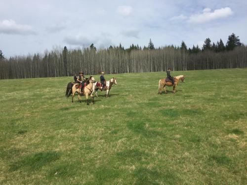 Agroturismo Montana Hill Guest Ranch