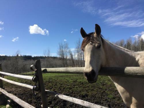 Agroturismo Montana Hill Guest Ranch
