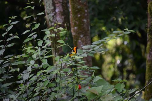 Agroturismo Reserva Natural Rancho Caman�