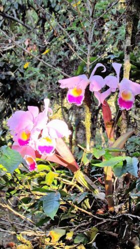 Hotel La Casa De Francois