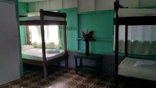 Hostal Life For Life Sea Tutle Drake