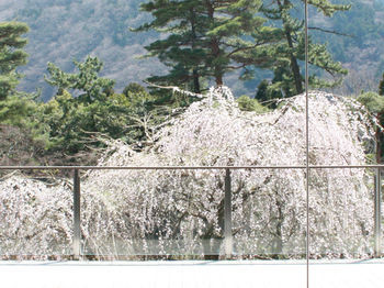 Hakone Hotel Kowakien
