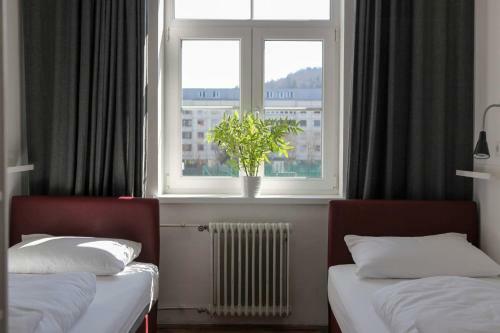 C - Punkt Hostel