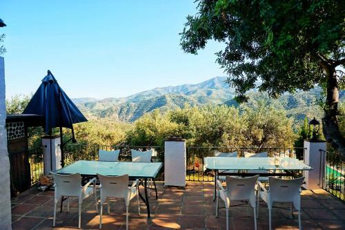 Hostal Olive Branch