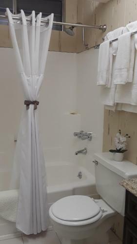 Bed & Breakfast Villa3633