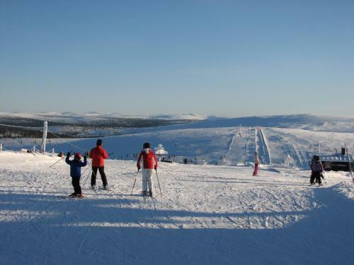 Saarisel�n Marjamajat