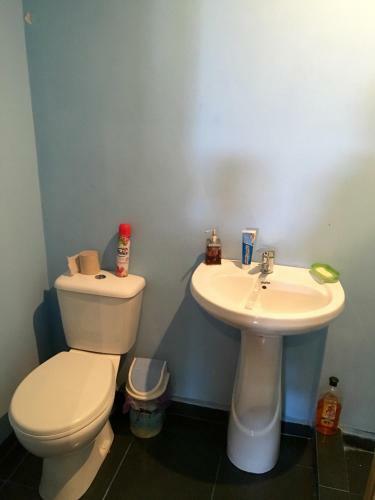 Apartamento Guest House Lali Kostava 14
