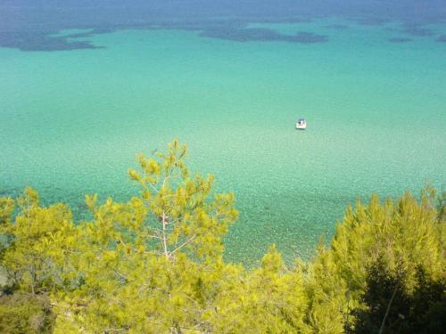 Oliveto