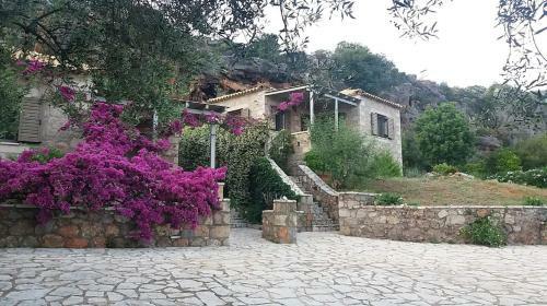 Kripia Holiday Villas