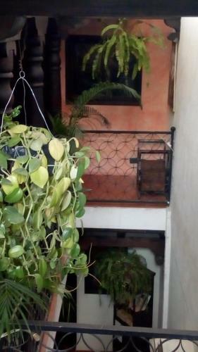 Hostal Hotel Dionisio