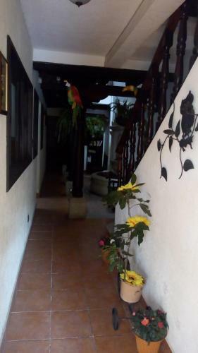 Hostal Hotel Dionisio