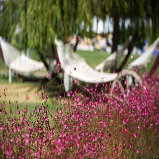 Xanthe Resort&spa Hotel