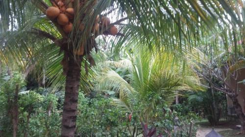 Hostal Puspa Rama Pondok Wisata