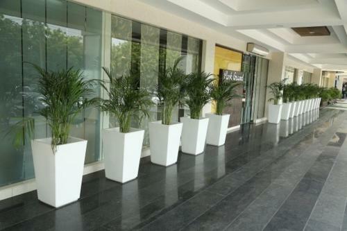 Hotel Park Grand