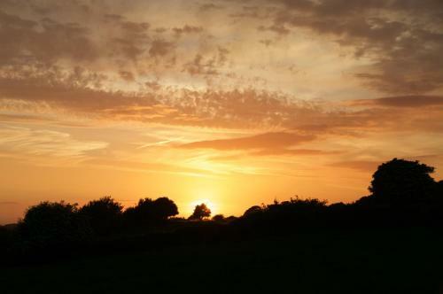 Bed & Breakfast Bunratty Meadows