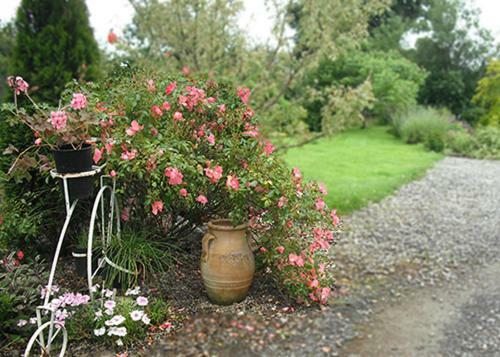 The Well Meadow B&B