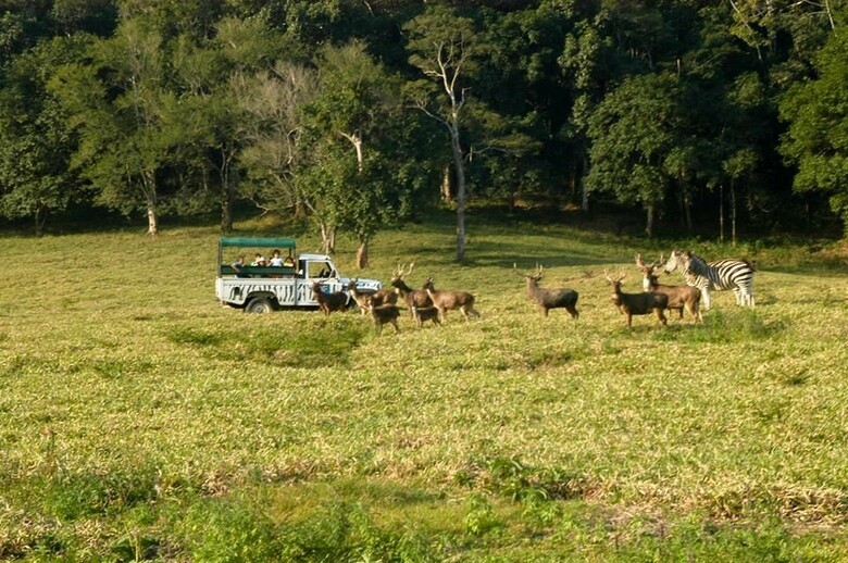 Hotel Portobello Resort & Safari