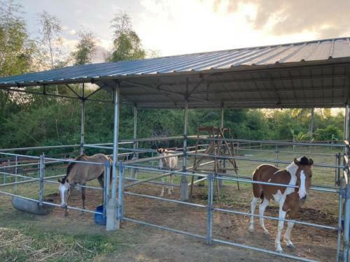 Agroturismo Ataalaya Farmhouse