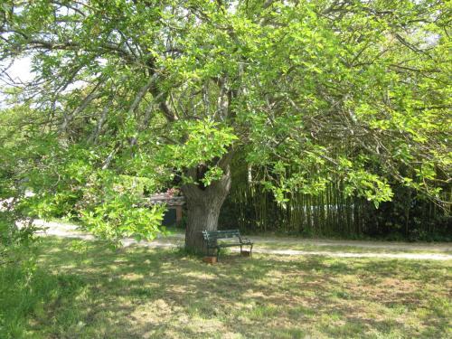 Apartamento La Locaia