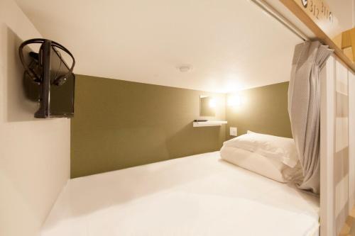 Centurion Ladies Hostel Ueno Park (female Only)