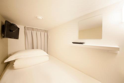 Centurion Ladies Hostel Ueno Park (female Only)