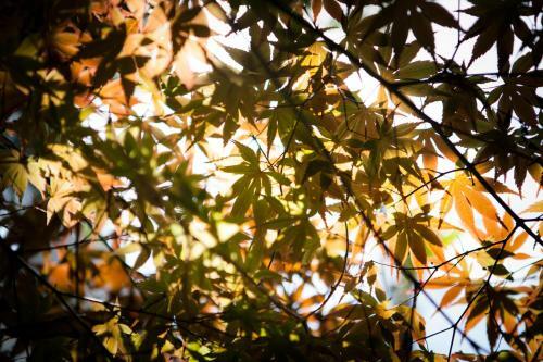 Hostal Guesthouse Madoka