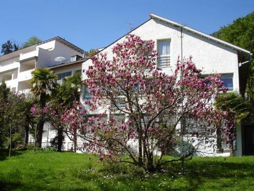 Hotel Kr�llnerhof