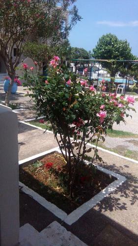 Apartamento Andy's Gardens