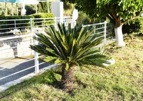 Apartamento Andy's Gardens