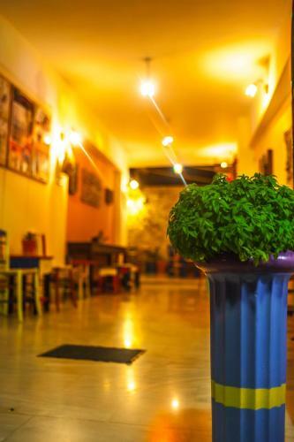 Bed & Breakfast Poco Loco Hotel