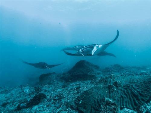 Hostal Kainalu Shipwrecks Villa