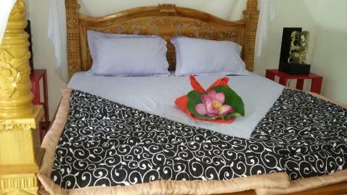 Hostal Lotus Guesthouse