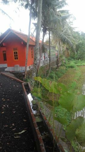 Hostal Lotus Guesthouse