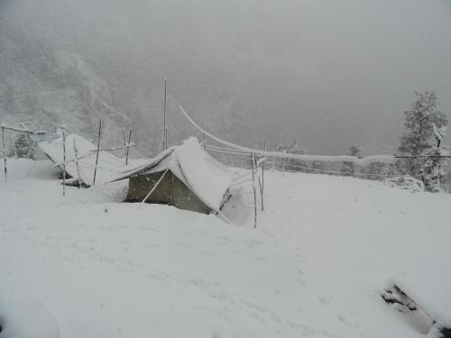 Dhanaulti Camp Homes And Retreat