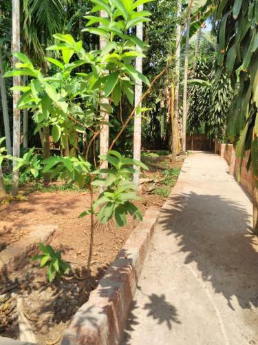 Agroturismo Cordel Farms Mangalore