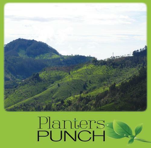 Villa Planters Punch