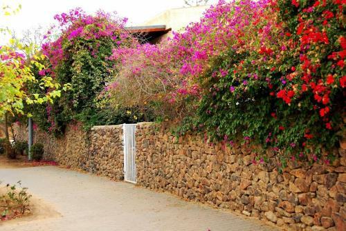 Hostal Lesanel - Guest House
