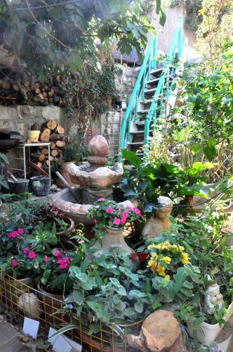 Cozy Garden
