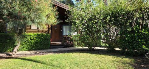 Lodge Pine Tree Cabin