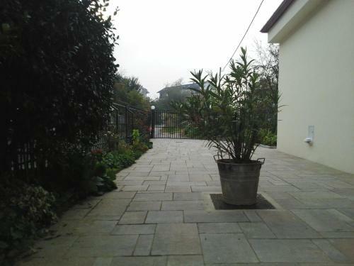 B&B La Falconera