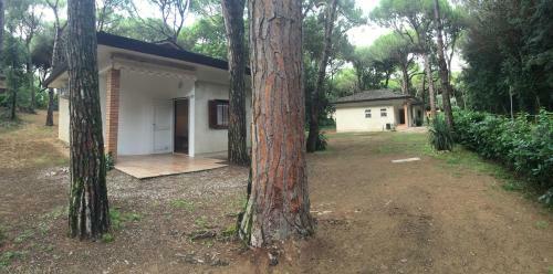 Villaggio Arco