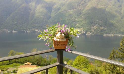 Apartamento La Casa Nel Verde Vista Lago