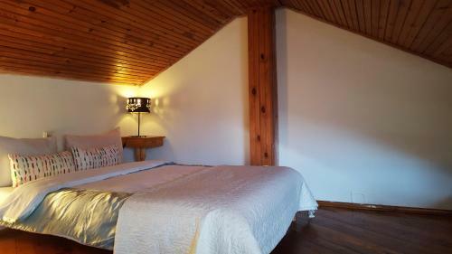 Albergue Guest House In Old Town