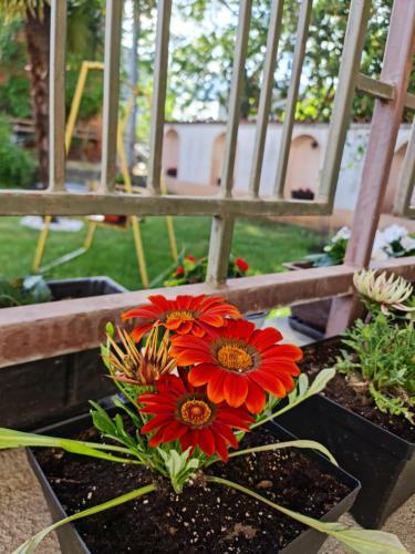Apartamento Vila Dunja